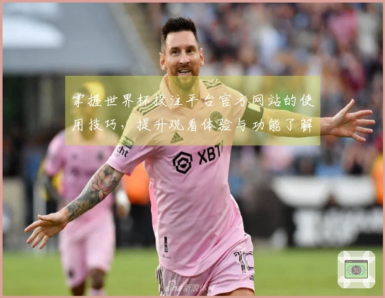 掌握世界杯投注平台官方网站的使用技巧，提升观看体验与功能了解