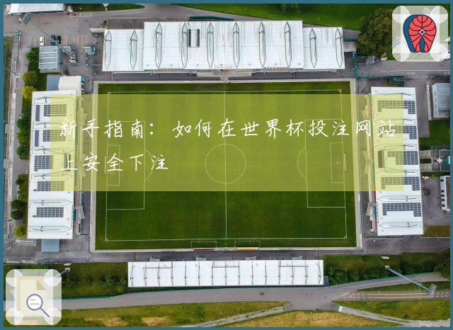 新手指南：如何在世界杯投注网站上安全下注