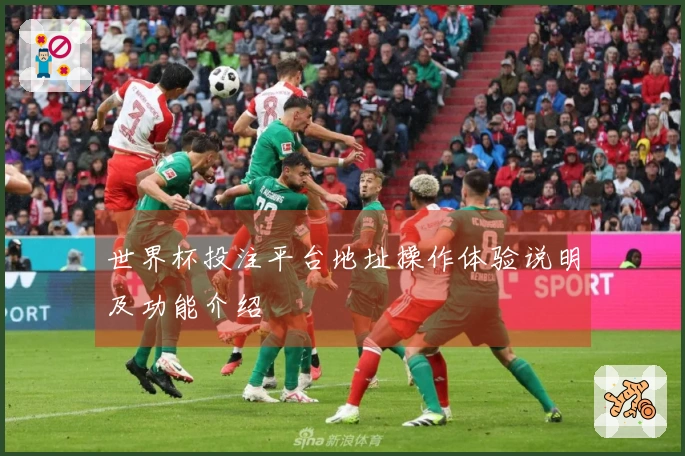 世界杯投注平台地址操作体验说明及功能介绍