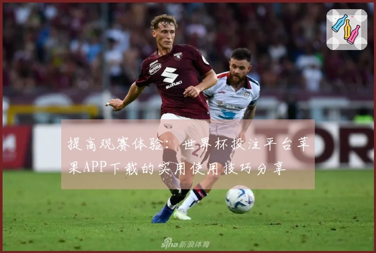 提高观赛体验：世界杯投注平台苹果APP下载的实用使用技巧分享