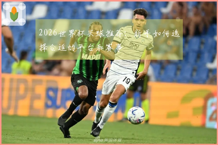 2026世界杯买球推荐：新手如何选择合适的平台和赛事