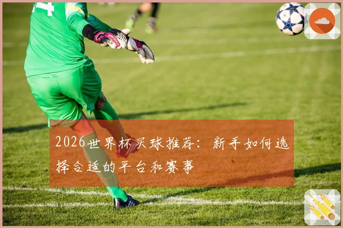 2026世界杯买球推荐：新手如何选择合适的平台和赛事