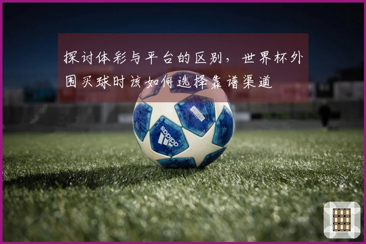 探讨体彩与平台的区别，世界杯外围买球时该如何选择靠谱渠道