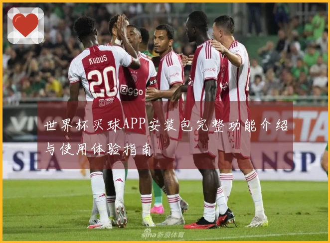 世界杯买球APP安装包完整功能介绍与使用体验指南