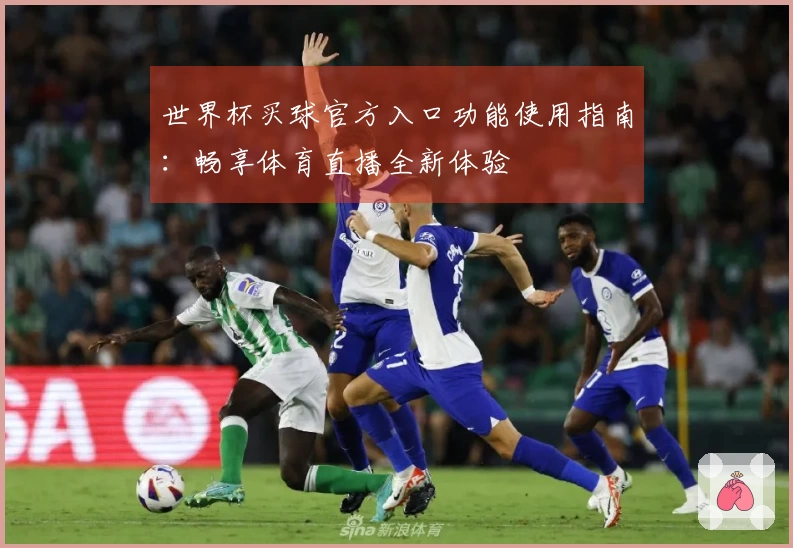 世界杯买球官方入口功能使用指南：畅享体育直播全新体验