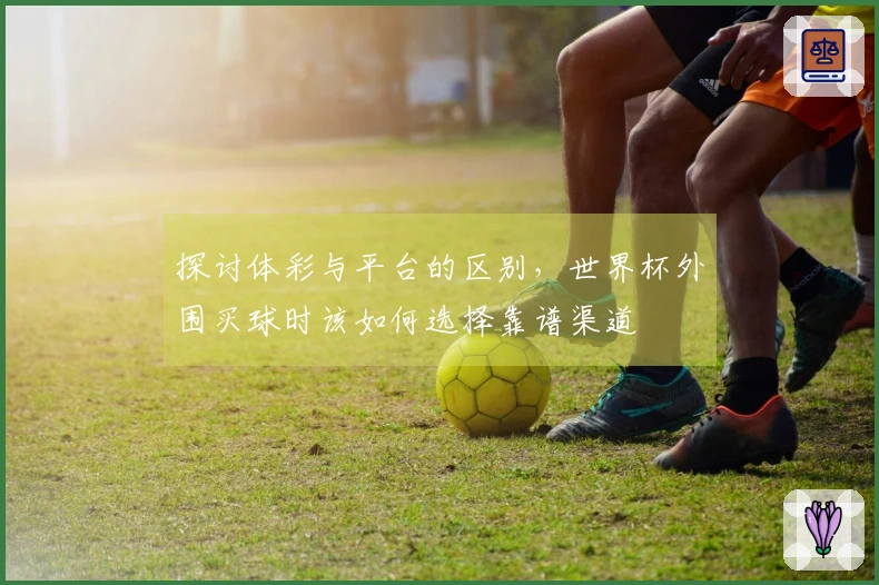 探讨体彩与平台的区别，世界杯外围买球时该如何选择靠谱渠道