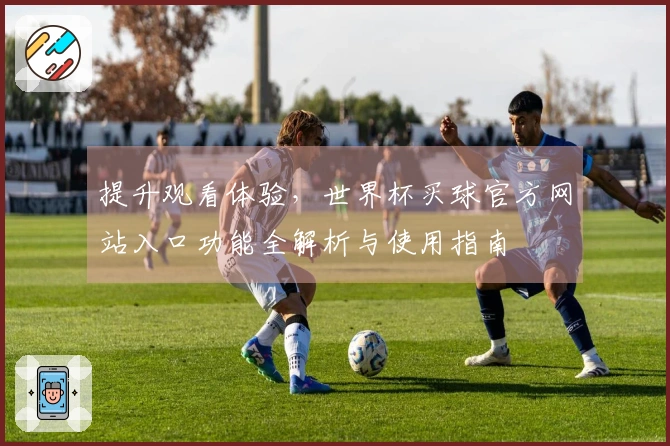 提升观看体验，世界杯买球官方网站入口功能全解析与使用指南