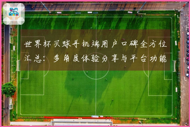 世界杯买球手机端用户口碑全方位汇总：多角度体验分享与平台功能介绍