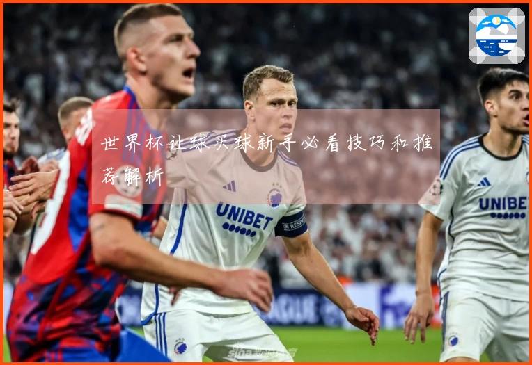 世界杯让球买球新手必看技巧和推荐解析