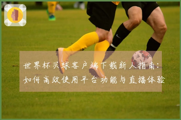 世界杯买球客户端下载新人指南：如何高效使用平台功能与直播体验优化技巧