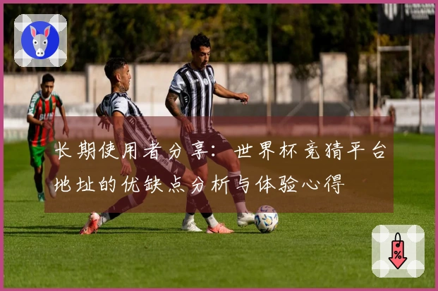 长期使用者分享：世界杯竞猜平台地址的优缺点分析与体验心得