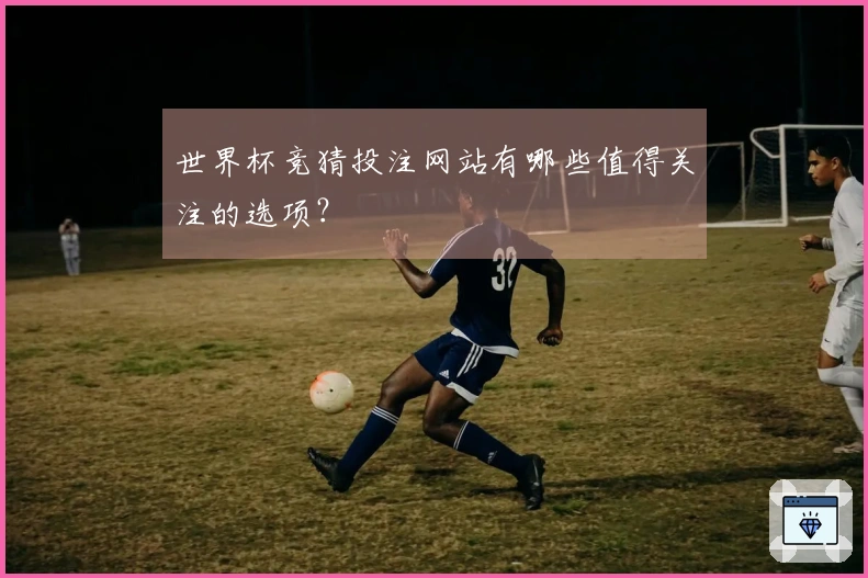 世界杯竞猜投注网站有哪些值得关注的选项?